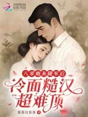 八零年代随军文