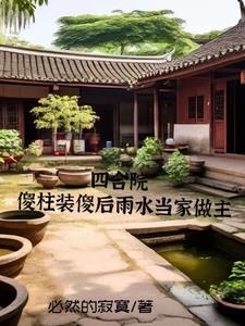 四合院 傻柱