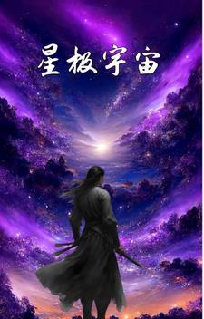 星极怎么样