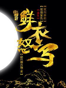 歌词有鲜衣怒马少年