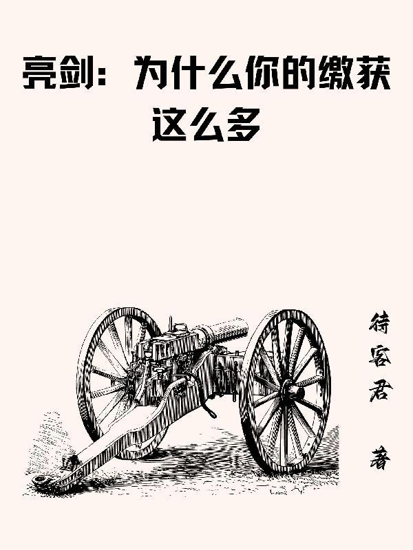 亮剑之我是李云龙