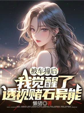 我觉醒了透视赌石异能