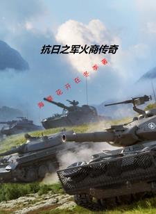 我在抗日卖军火TXT
