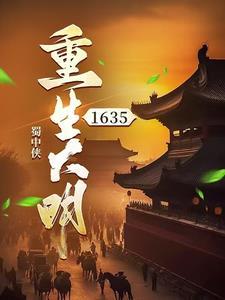 重生大明1617