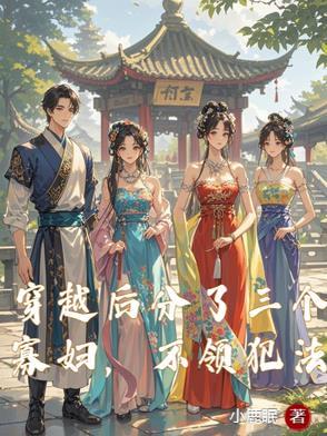 穿越后分了三个寡妇不领犯法