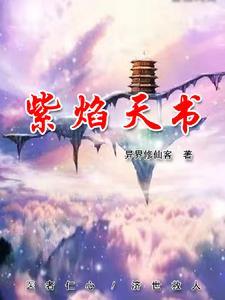 紫焰科技有限公司