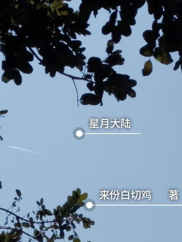 星月大陆之封印权杖图书